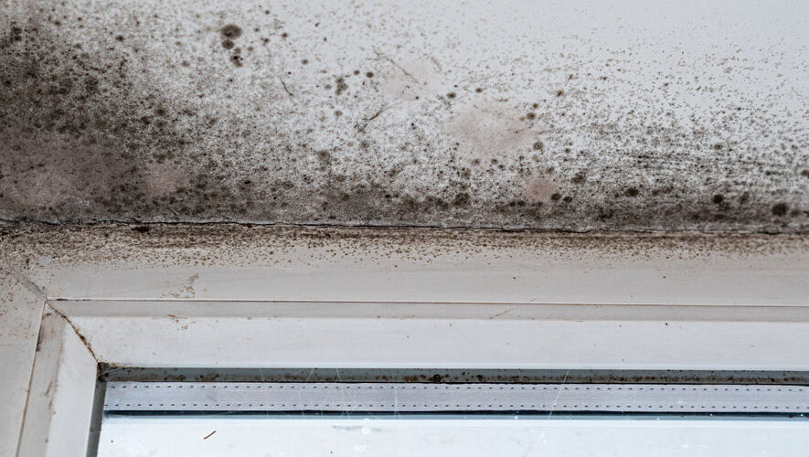 Mould growth on ceiling near window, highlighting the risks of mould damage to property value and air quality in Victoria.