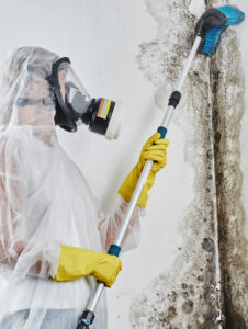 Victoria Restoration Experts | What to Look for in a Reliable Mould Removal Company in Victoriamould-removal-vic Person in protective gear using a scrub brush to clean mould from a wall, emphasizing safe and effective mould remediation techniques relevant to professional mould removal services in Victoria.