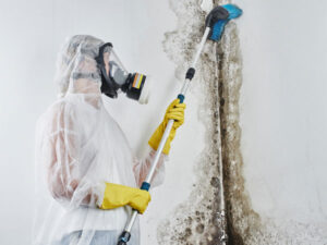Victoria Restoration Experts | Top 5 Signs You Need Mould Removal Services in Victoriaprofessional-mould-inspection-victoria Professional mould remediation specialist cleaning mould from a wall, wearing protective gear and a respirator, emphasizing the importance of timely mould removal in Victoria to prevent property damage and health risks.
