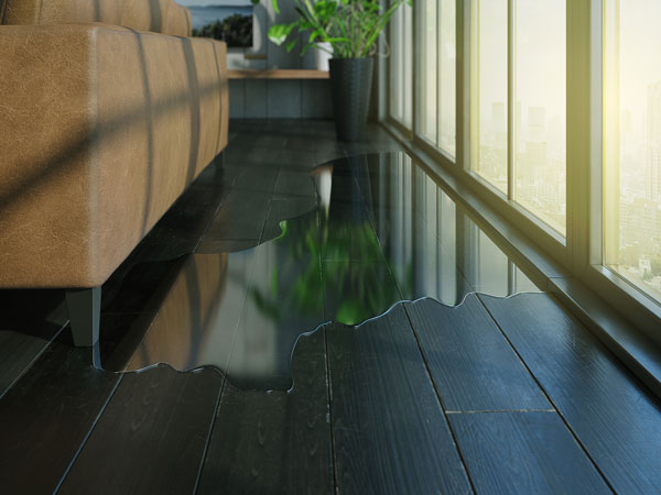 Water pooling on dark wooden floor in a modern living room, near a brown couch and potted plant, highlighting the impact of water damage and the need for restoration services.