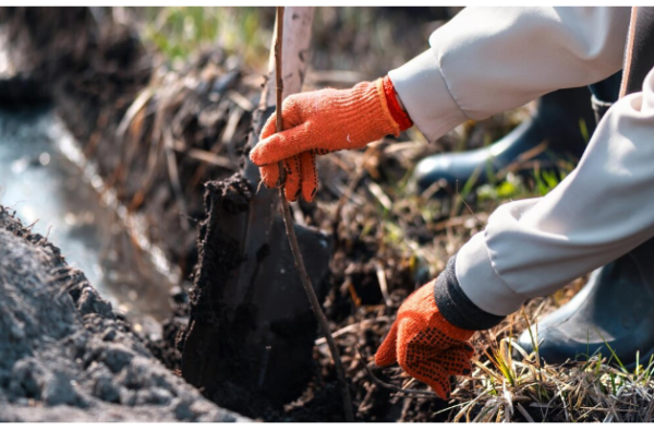 Victoria Restoration Experts | What to Do Immediately After a Sewage Backup in Your Property | Sewage Cleanup in Victoriaundefined (45) What to Do Immediately After a Sewage Backup in Your Property | Sewage Cleanup in Victoria
